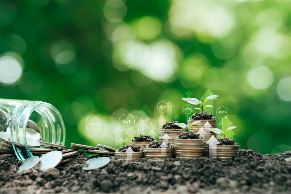 sustainability in business